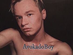 AvokadoBoy