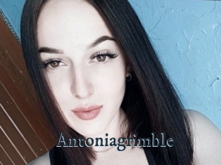 Antoniagrimble