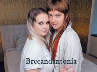 Breeandantonia