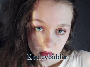 Keeleybiddix