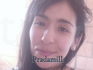 Pradamills