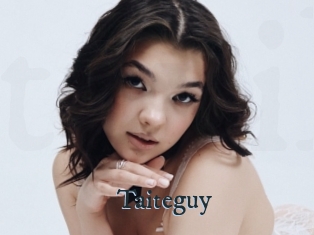 Taiteguy